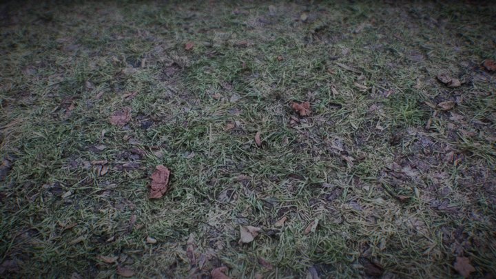 Ground_Winter_Wet_01 3D Model