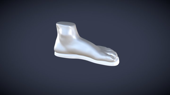 Sculpted Foot 3D Model