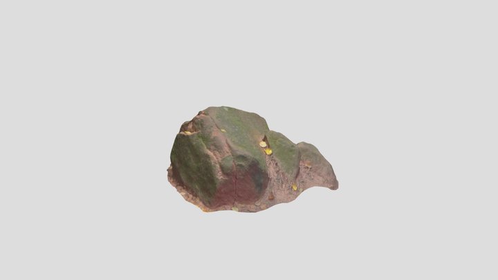 Sandstone Rock Forest Pbr Scan 06
