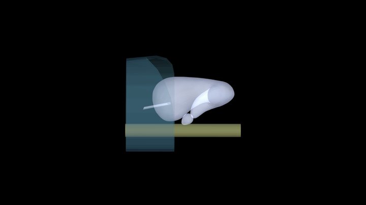 kyo_tsu_fook_side 3D Model