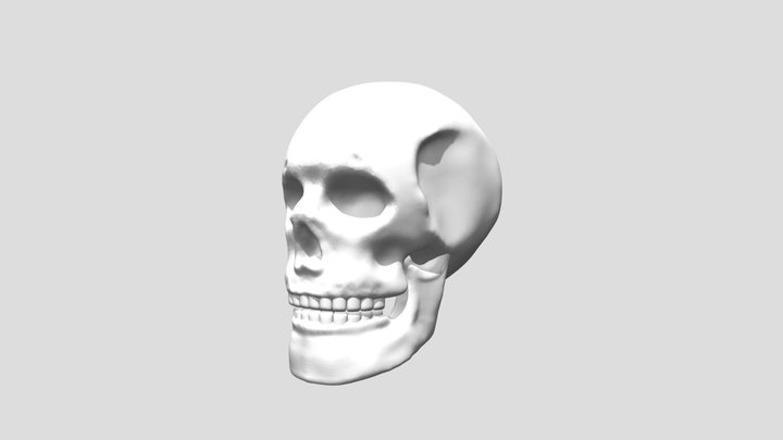 Skullpting Practice 3D Model