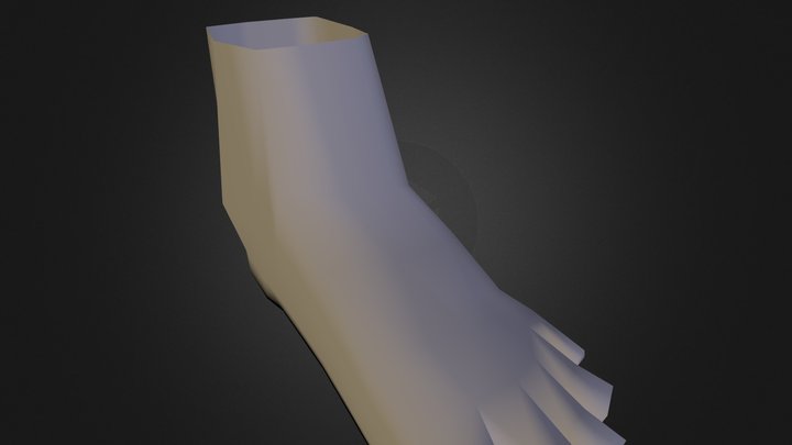 C Laffin Foot Completed 3D Model