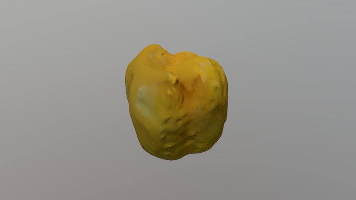 Pepper 3D Model