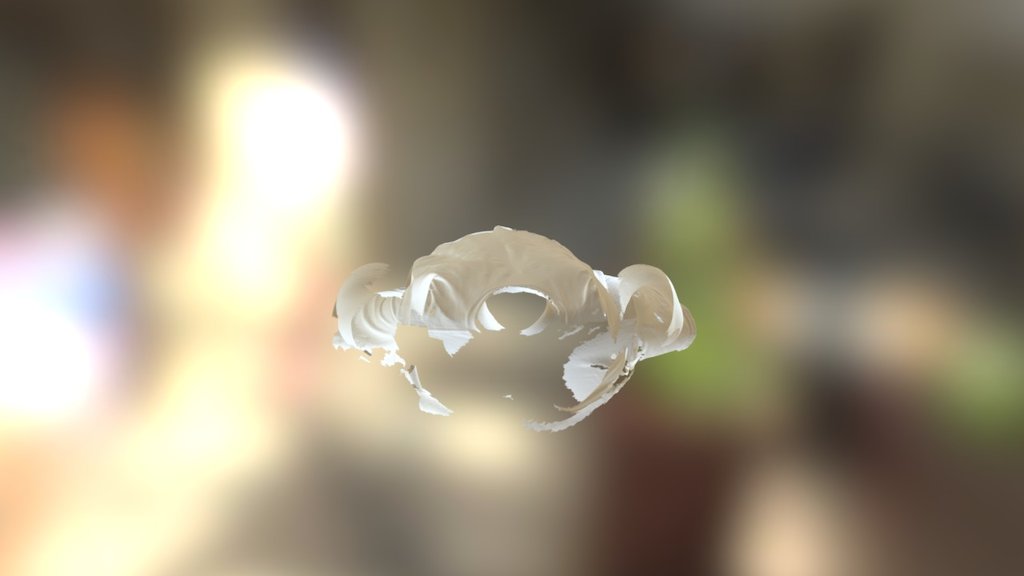 Keyon high res 1 - 3D model by Capture It In 3D (@CaptureMeIn3D ...