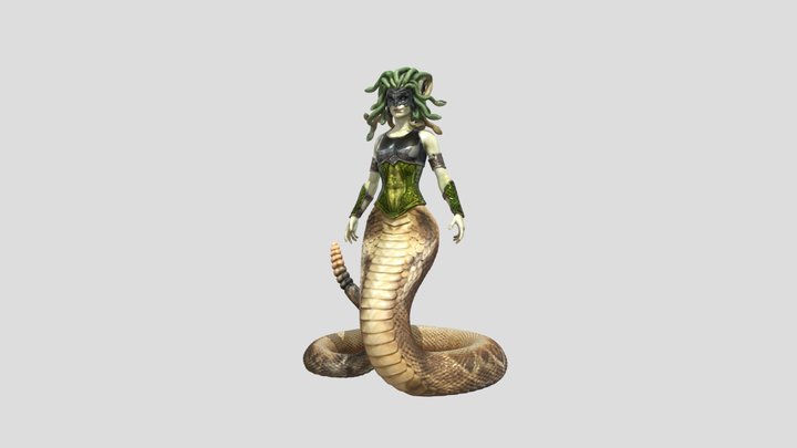 Medusa's Gaze 3D Model