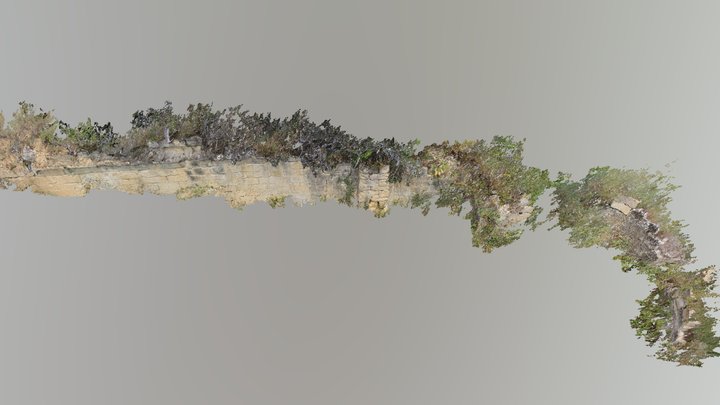 Longar 3D models - Sketchfab