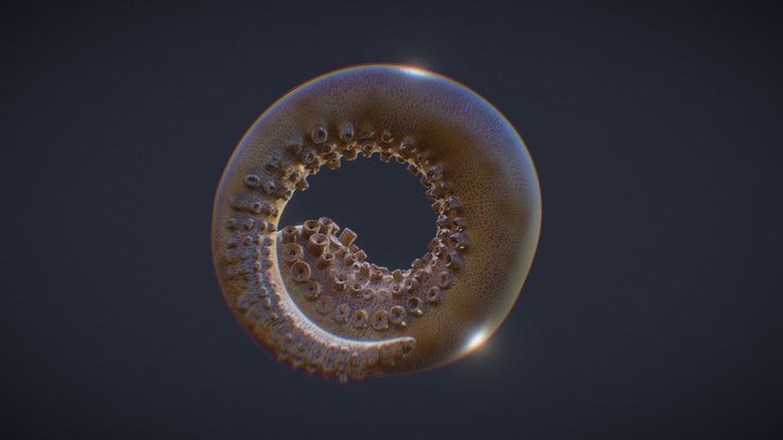 O is for Octopus 3D Model