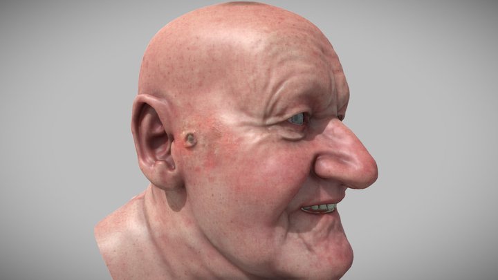 Head 3D Model