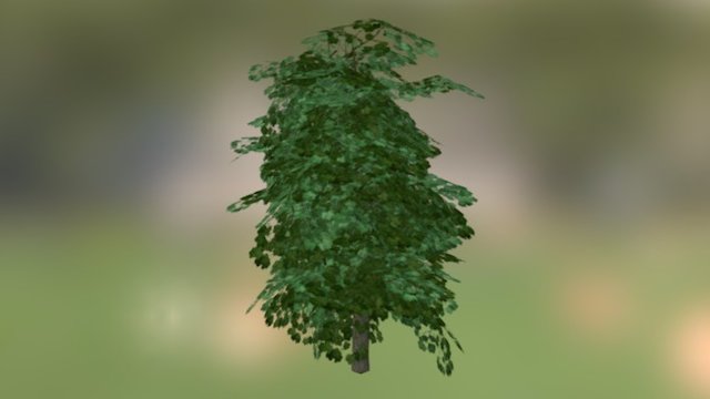 Ahorn Baum 3D Model