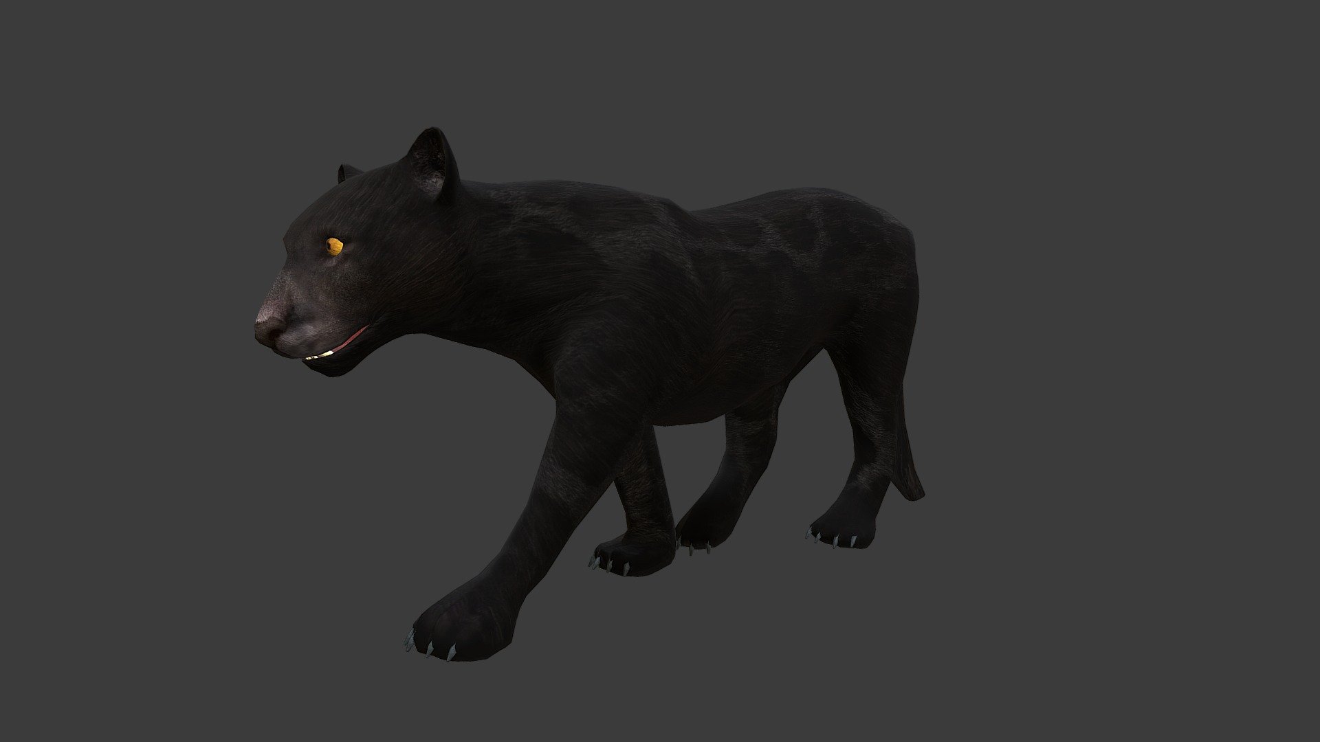 puma 3d idp
