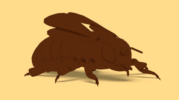 Worker Honey Bee