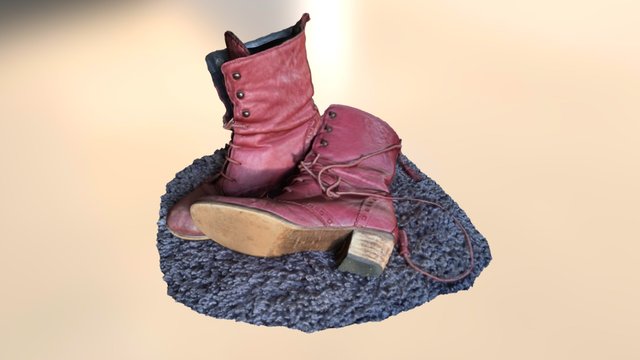 Favourite Boots 3D Model