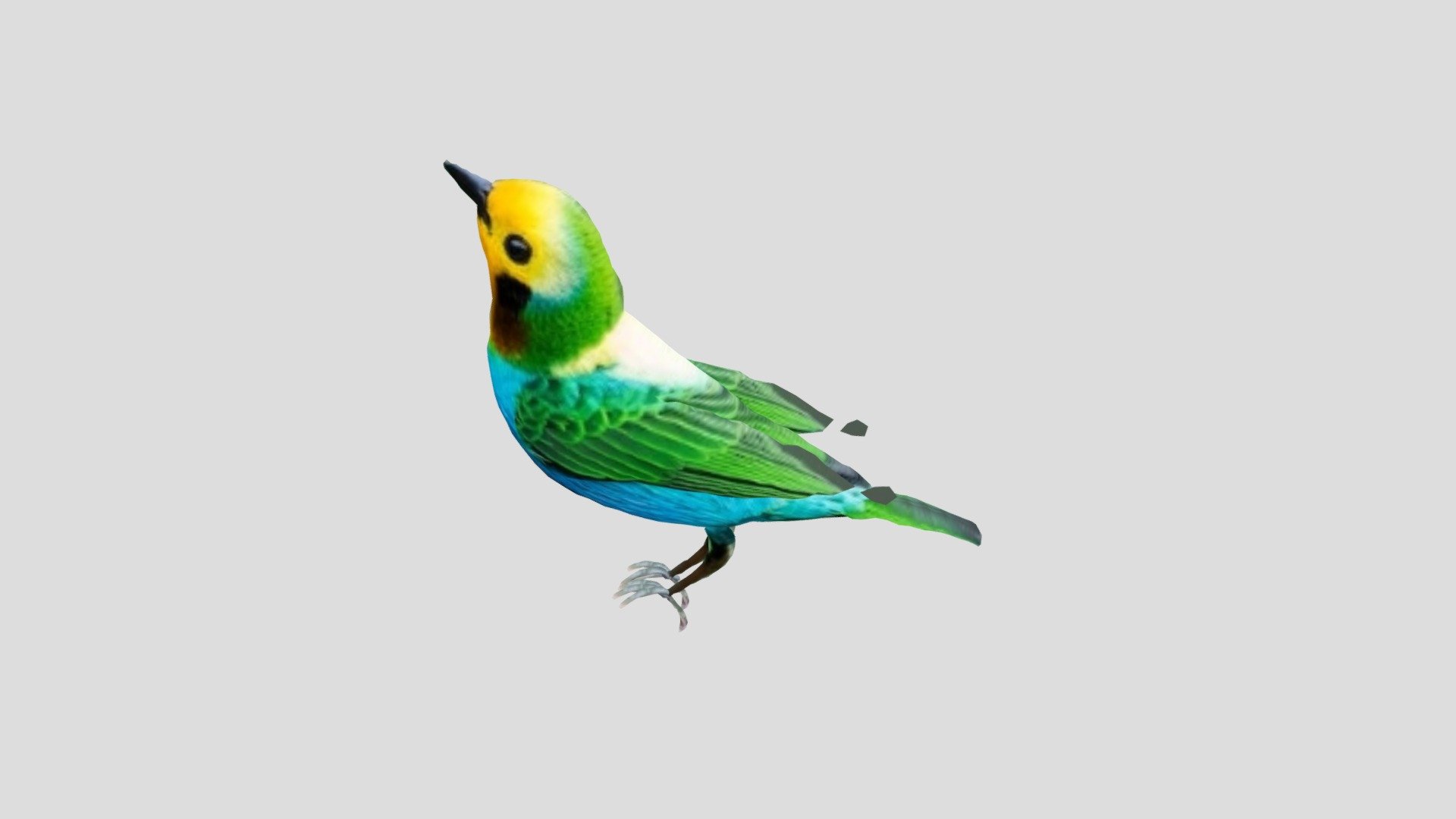 Bb