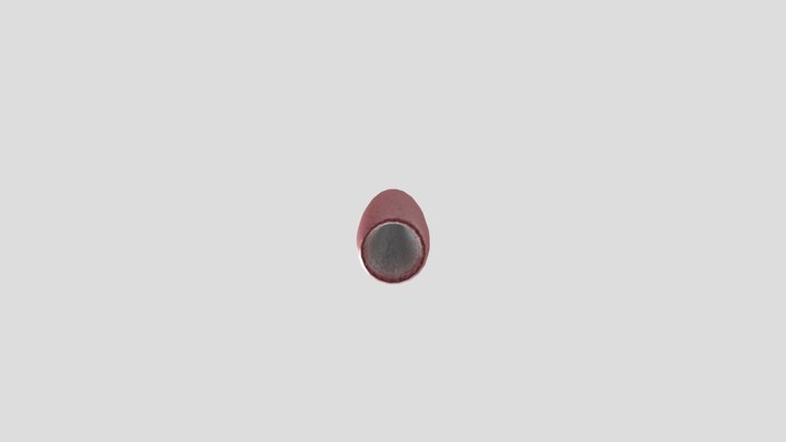 Flesh Tunnel 3D Model