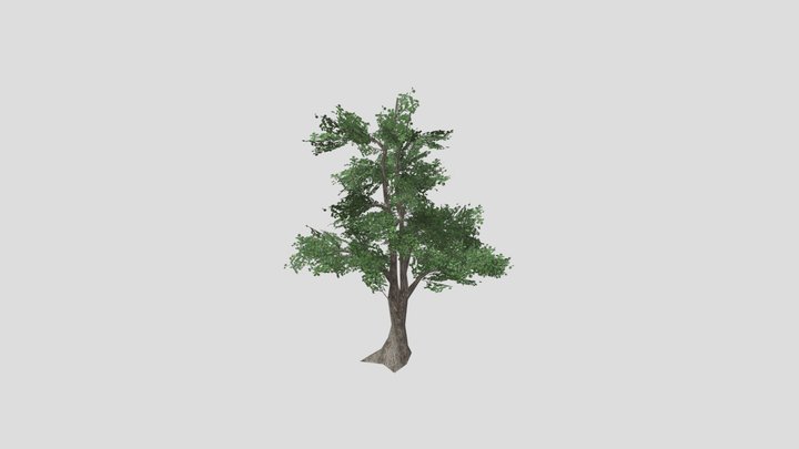 BlackAlder4 3D Model