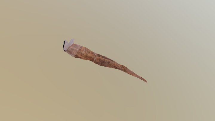 Detail from the Siq of Petra 3D Model