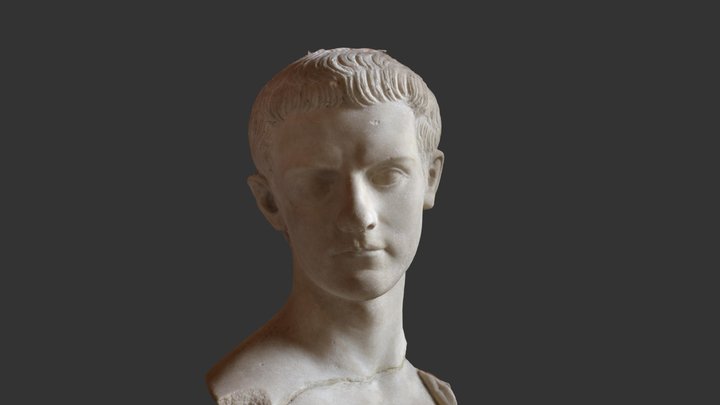 Bust of Caligula 3D Model