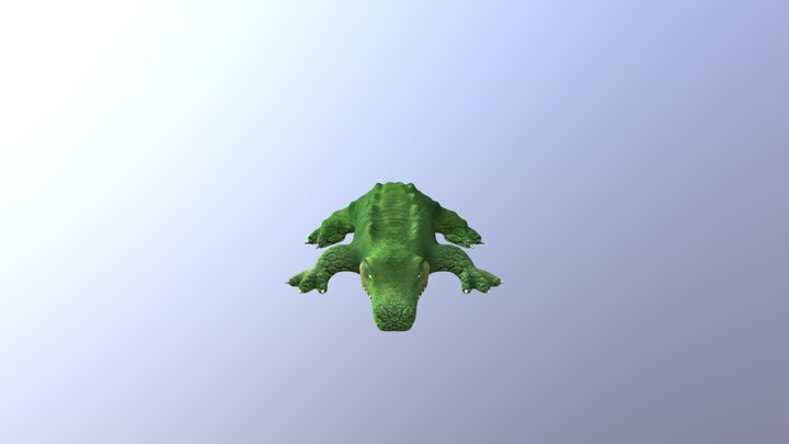 Cocodrilo - Estefania Hinostroza 3D Model