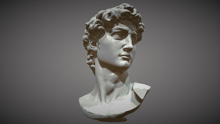 Michelangelo - Head of David(1501–1504) 3D Model