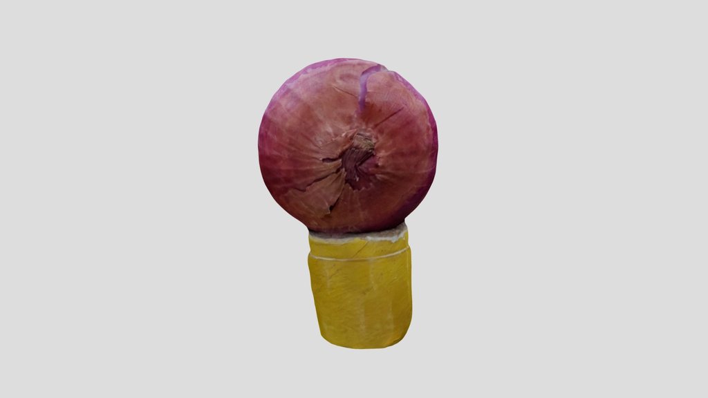 Onion