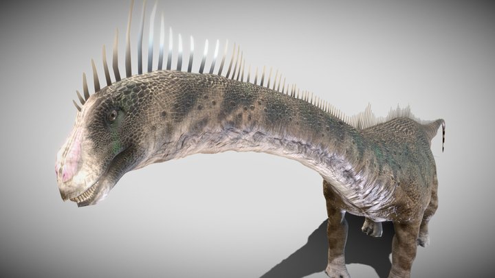 Diplodocus 3D models - Sketchfab