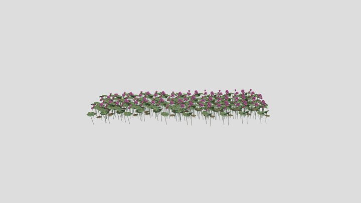 Hoa sen 17_02_2023 17_54 Pre Final TVC 3D Model