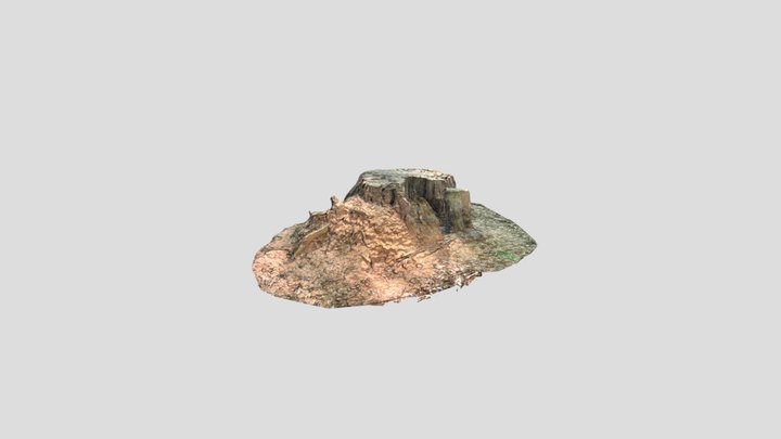 SGD 242 Outdoor Process Model 3D Model