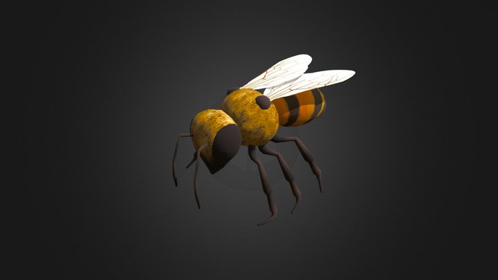 Bee - Apis Melifera 3D Model