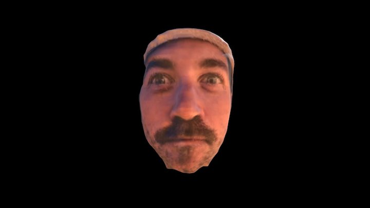 Thomas 3D Reconstruction 3D Model