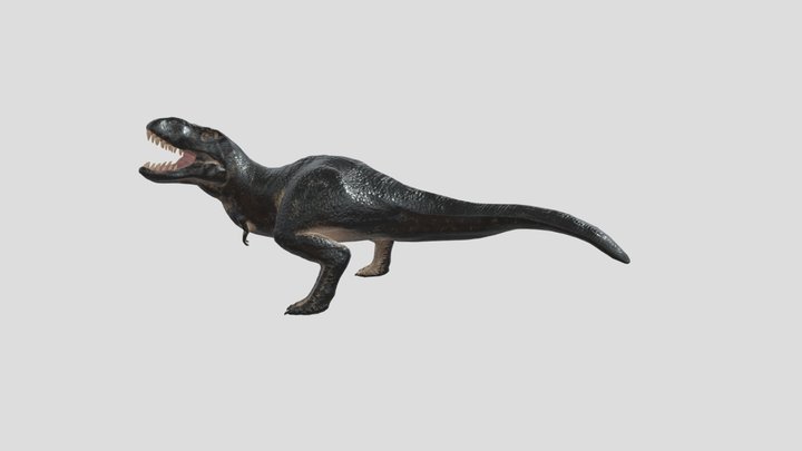 T-Rex like Dinosaur 3D Model