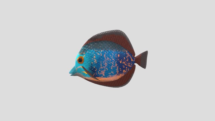Pumpkin Seed Fish 3D Model