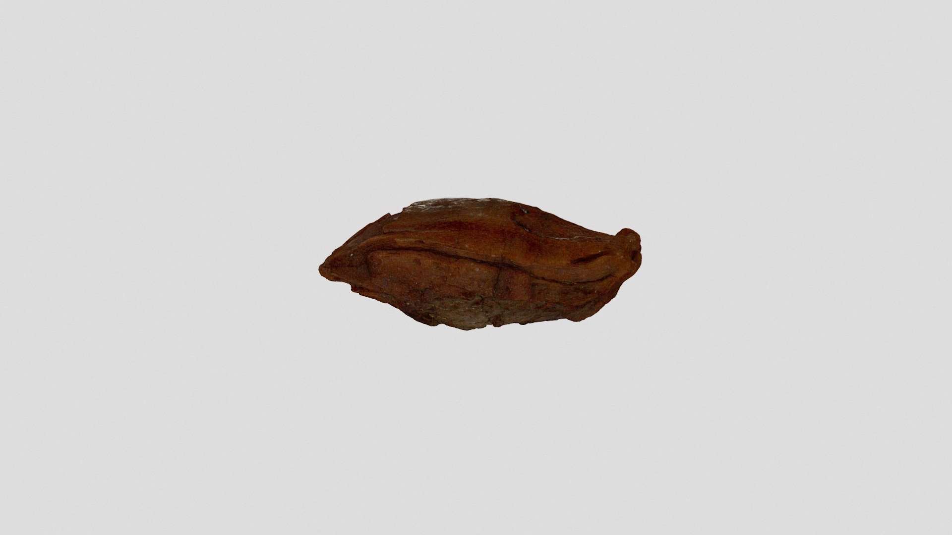 Bomba vulcanica fusiforme