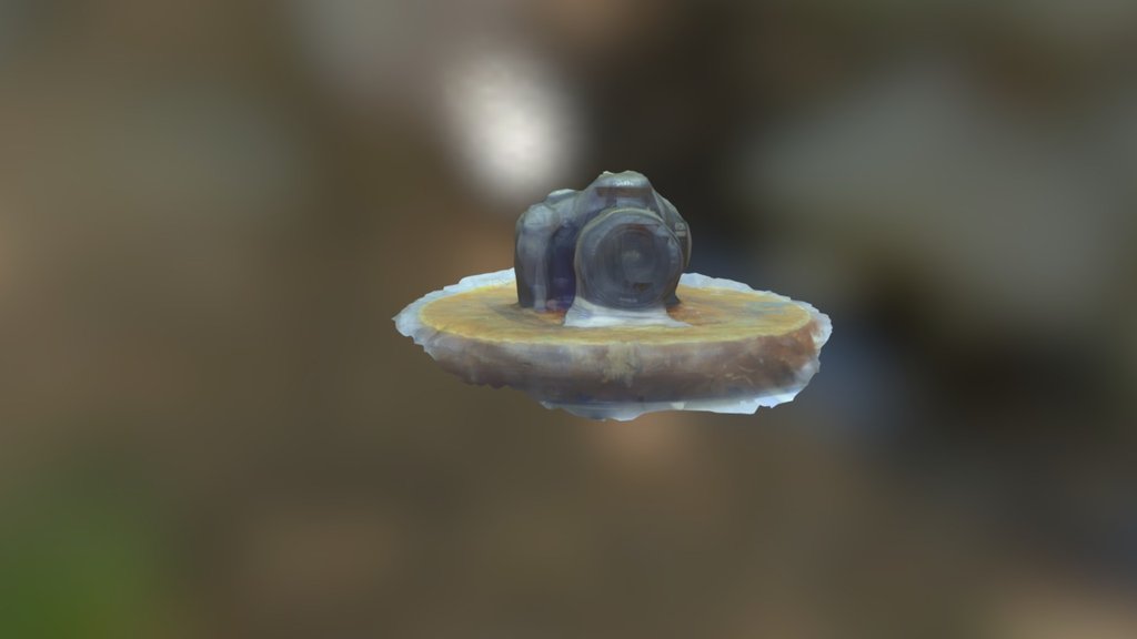 055 054 037