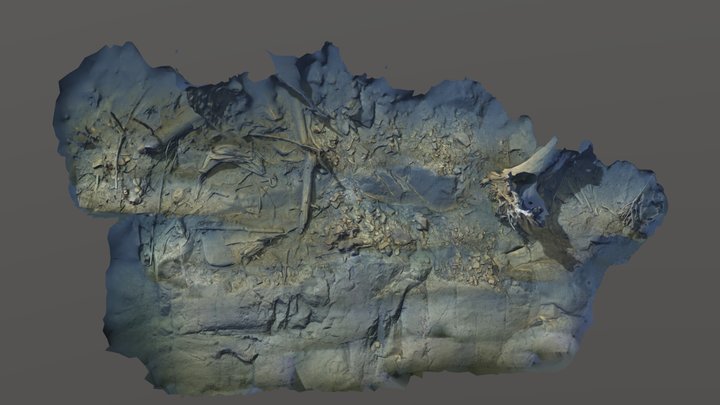 RW23-058 0407a 3D Model