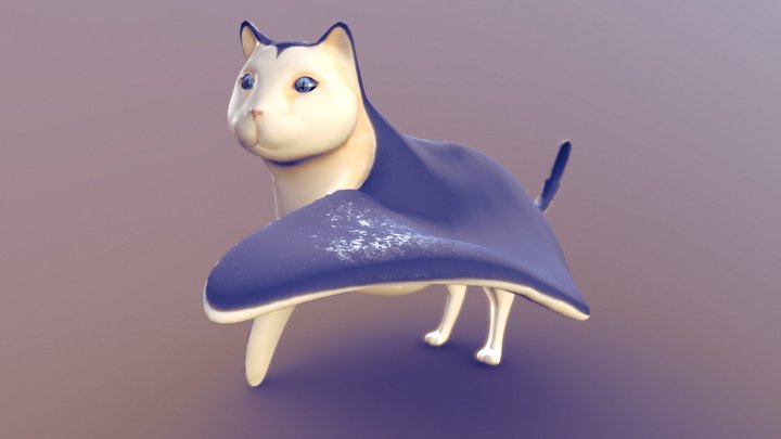 Cat-Ray 3D Model