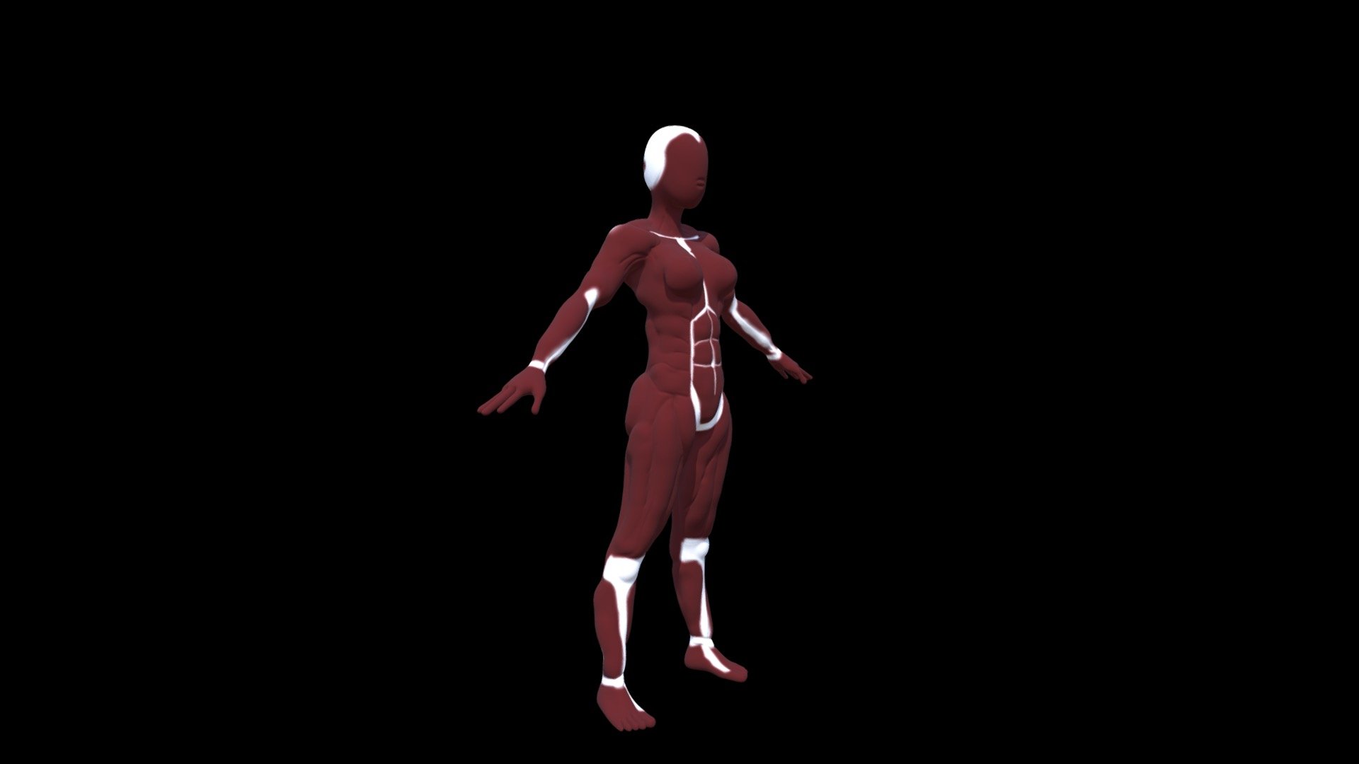 2283 SIQUET Shelly Anatomie