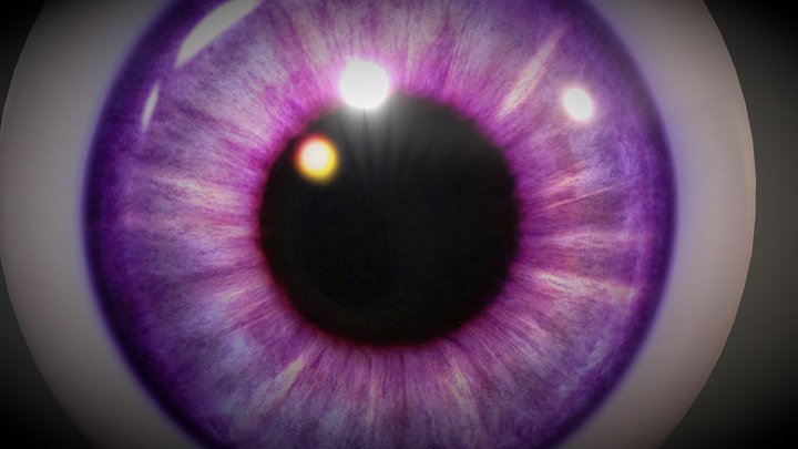 Free 3D Eye Model 3D Model