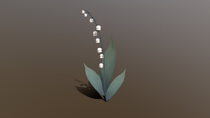 Lily Of The Vally 3D Model