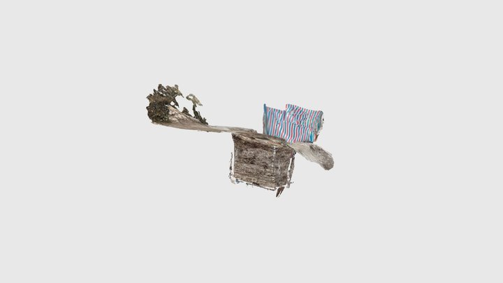 Scaniverse Model 3D Model
