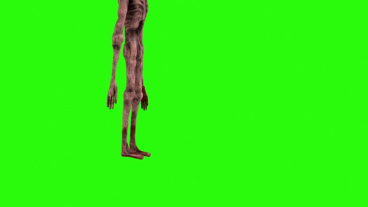 Zombie Kicking 3D Model