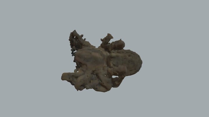 Wolf Spider Scan – Modèle 3D gratuit STL