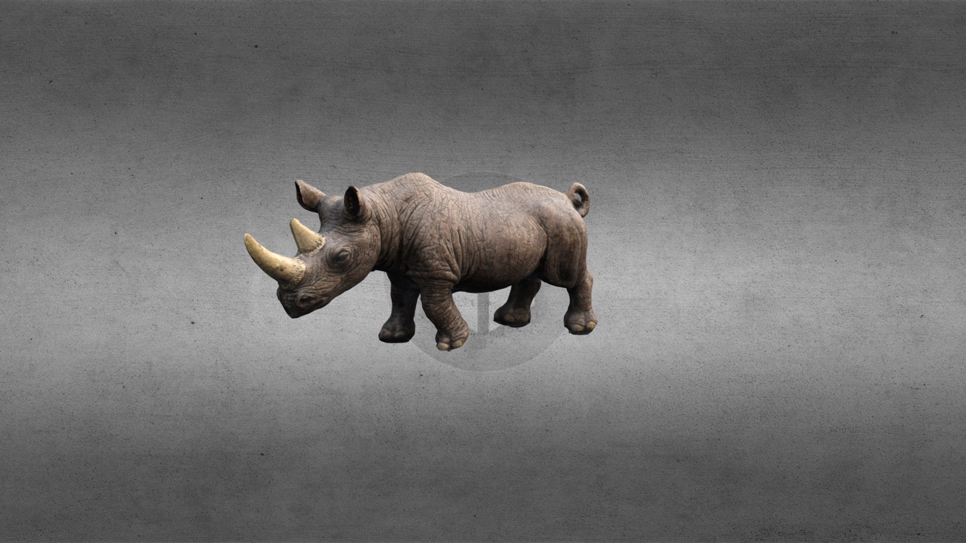 rhinoceros 3d software