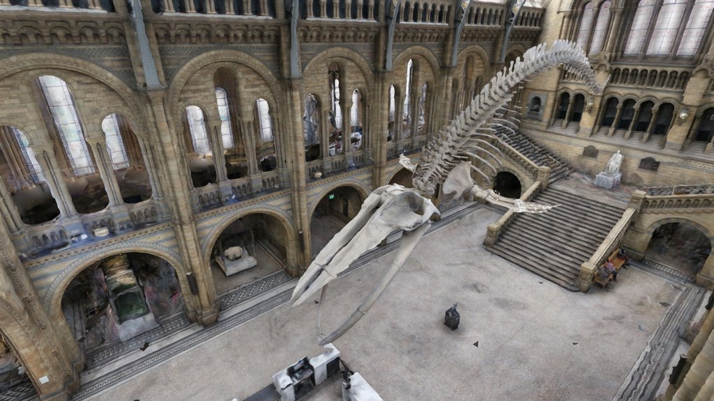 Hintze Hall, NHM London [surface model]