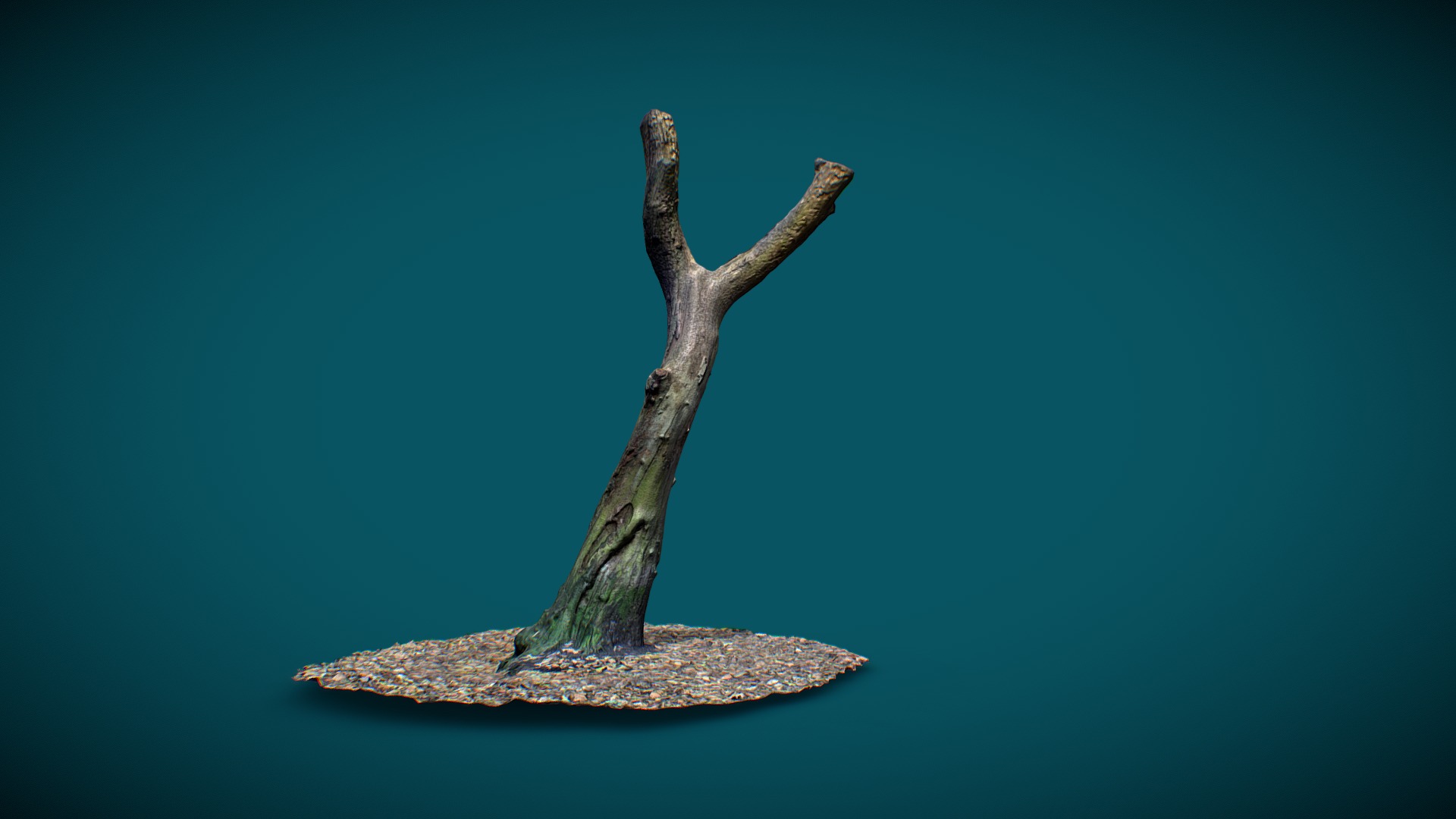 3D model Tree – Photogrammetry - This is a 3D model of the Tree - Photogrammetry. The 3D model is about a tree stump with a stick.