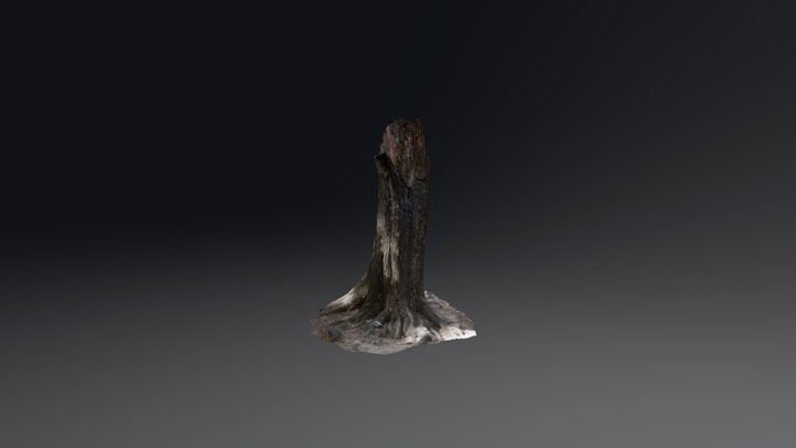 Árbol 3D Model