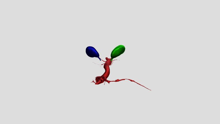Segmentation 3D Model