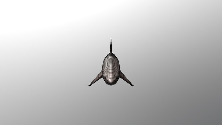 Great White Shark 3D Model