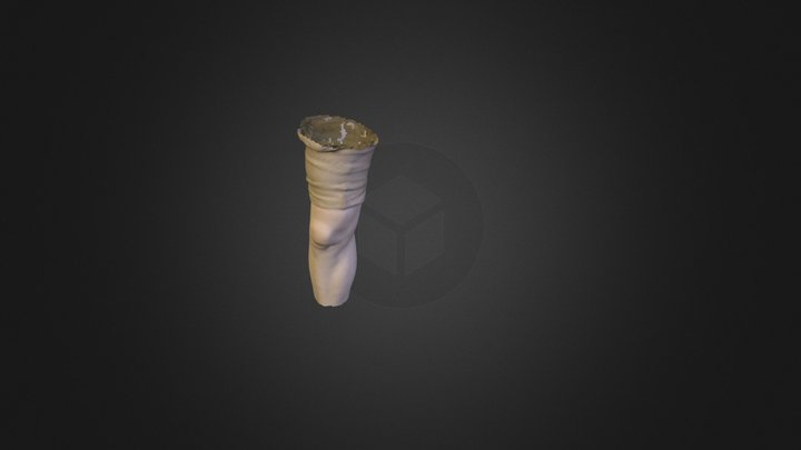 Knee 3D Model