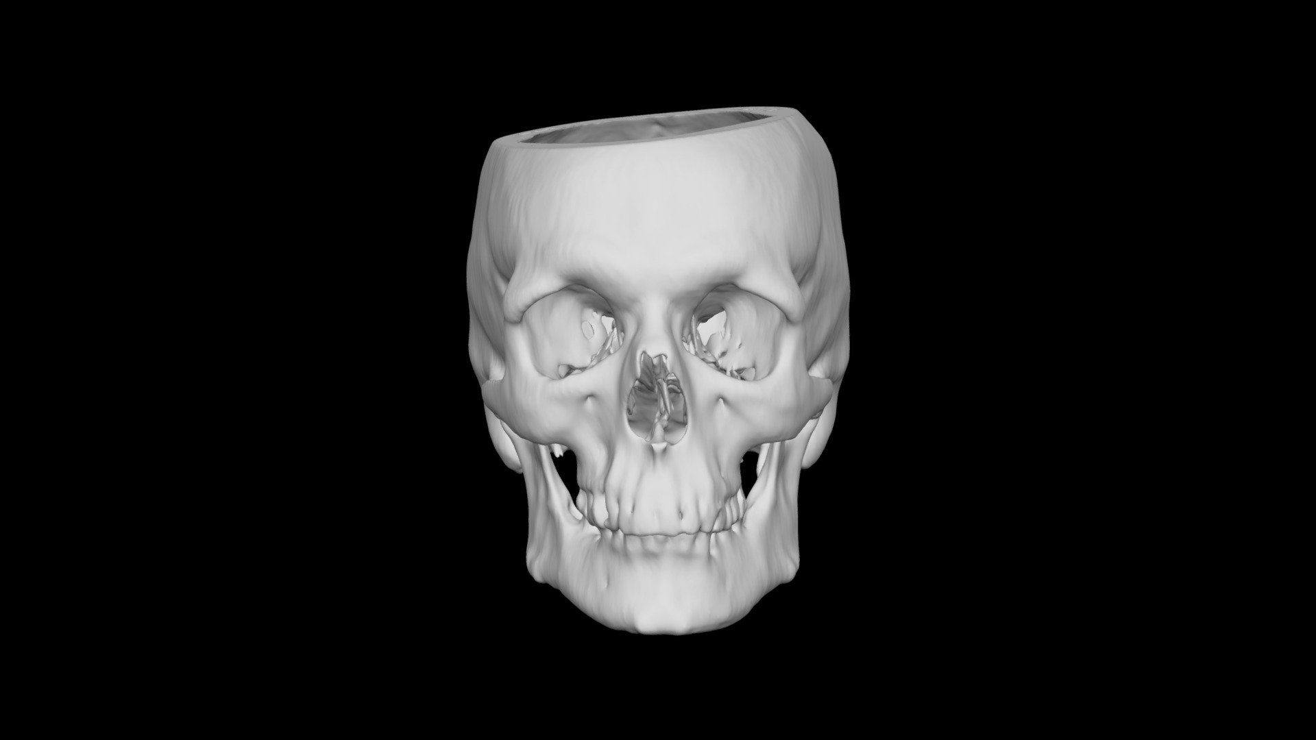 Skull Male 48yo — Sketchfab embed 3D viewer