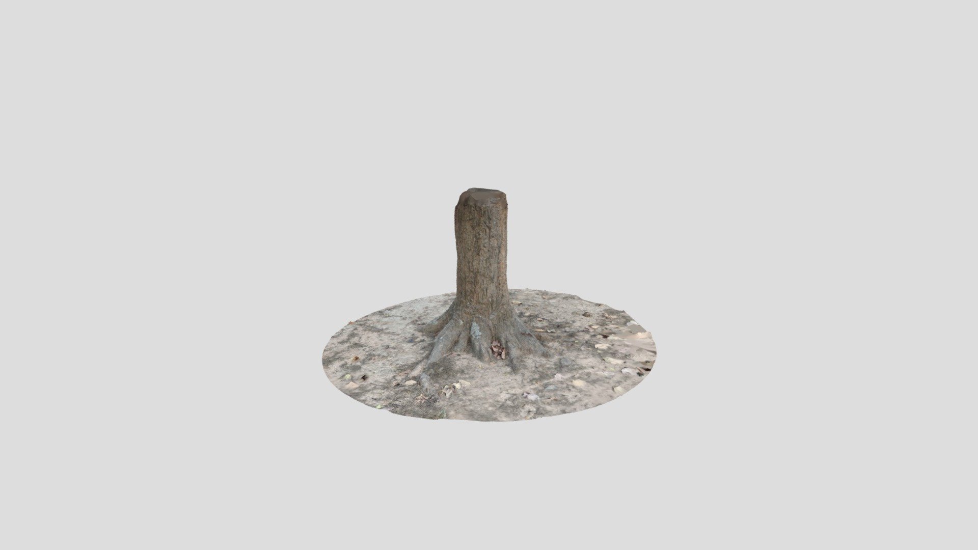Tree Stump 3D scan - 3D model by NICK GUPTA (@NICKGUPTA) [b30b0be ...